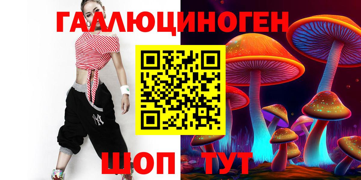 Псилоцибиновые грибы Psilocybine cubensis Вязьма